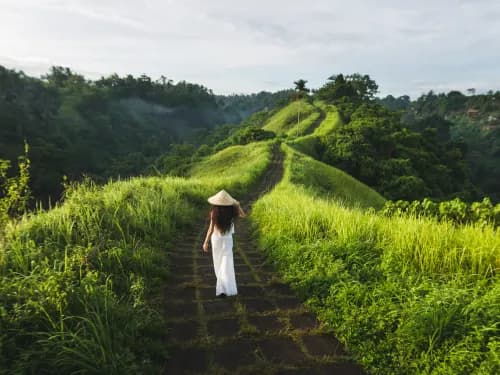 Campuhan Ridge Walk
